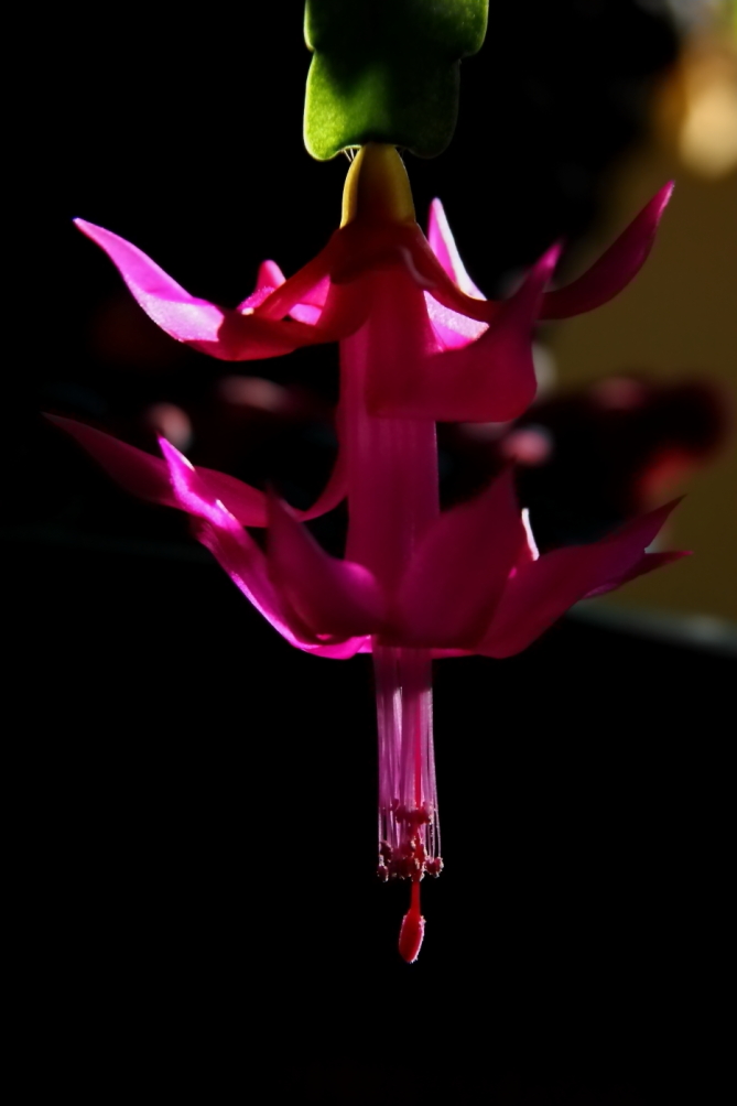 2012 02 10 6438e